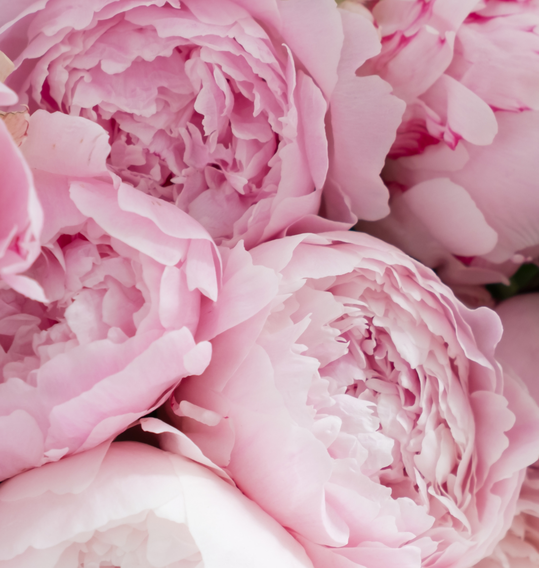 Wedding Flowers Ideas: Most Popular Wedding Flowers For Every Season & Month