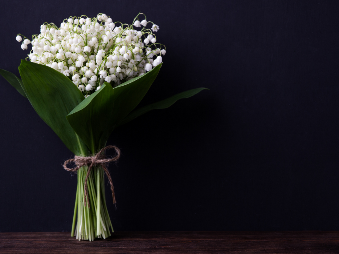 Elegant Wedding: What to Choose For An Elegant Wedding